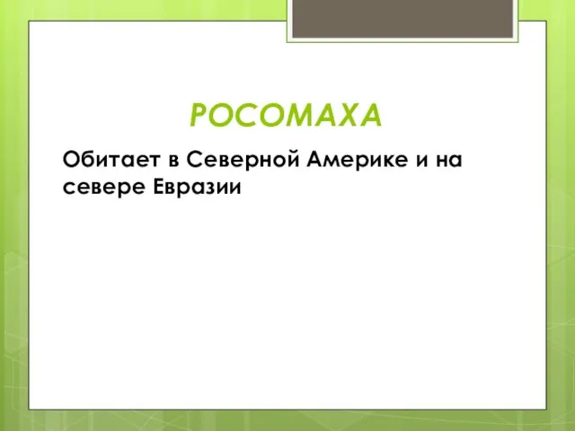 РОСОМАХА Обитает в Северной Америке и на севере Евразии