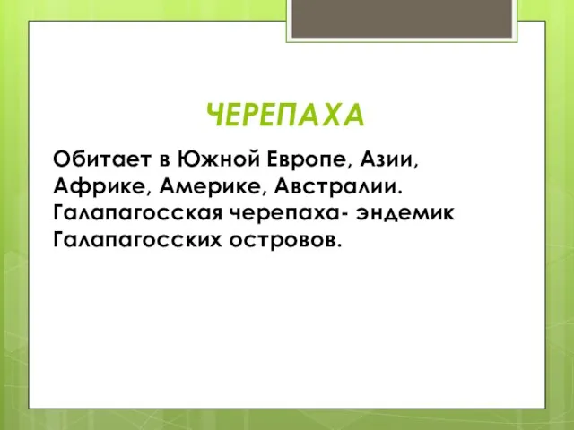 ЧЕРЕПАХА Обитает в Южной Европе, Азии, Африке, Америке, Австралии. Галапагосская черепаха- эндемик Галапагосских островов.