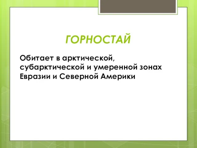 ГОРНОСТАЙ Обитает в арктической, субарктической и умеренной зонах Евразии и Северной Америки