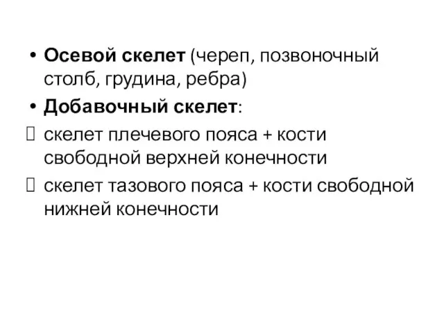 Осевой скелет (череп, позвоночный столб, грудина, ребра) Добавочный скелет: скелет плечевого