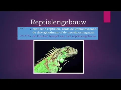 Reptielengebouw _ _