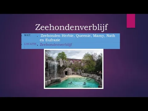 Zeehondenverblijf _ _