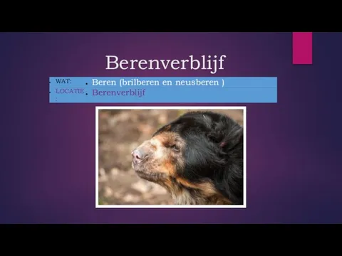 Berenverblijf _ _