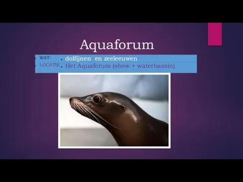 Aquaforum _ _