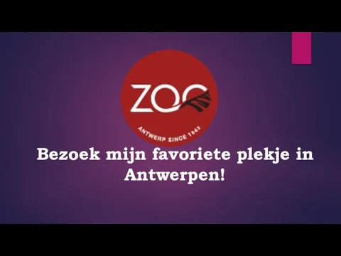 _ _ Bezoek mijn favoriete plekje in Antwerpen!