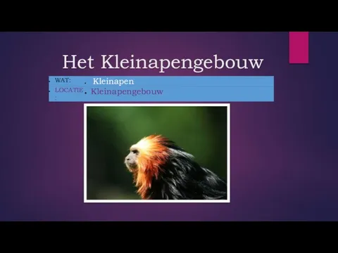 Het Kleinapengebouw _ _