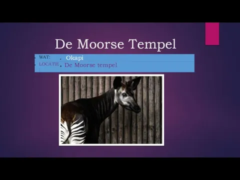 De Moorse Tempel _ _