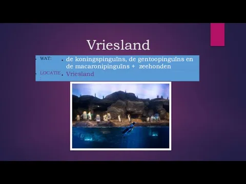 Vriesland _ _