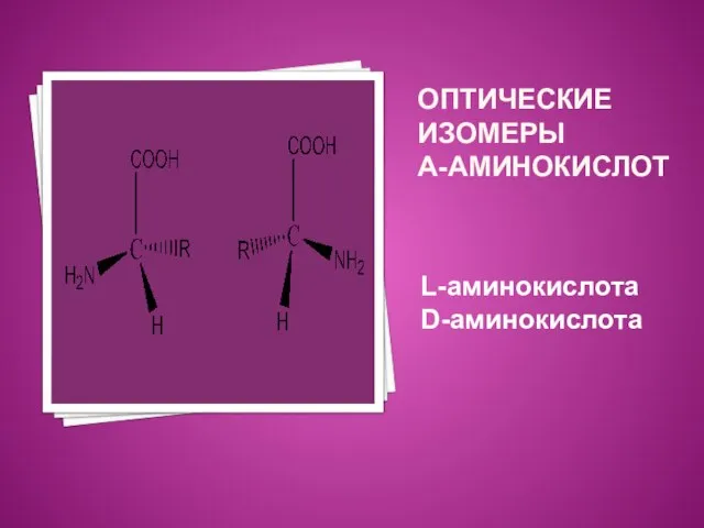 ОПТИЧЕСКИЕ ИЗОМЕРЫ Α-АМИНОКИСЛОТ L-аминокислота D-аминокислота