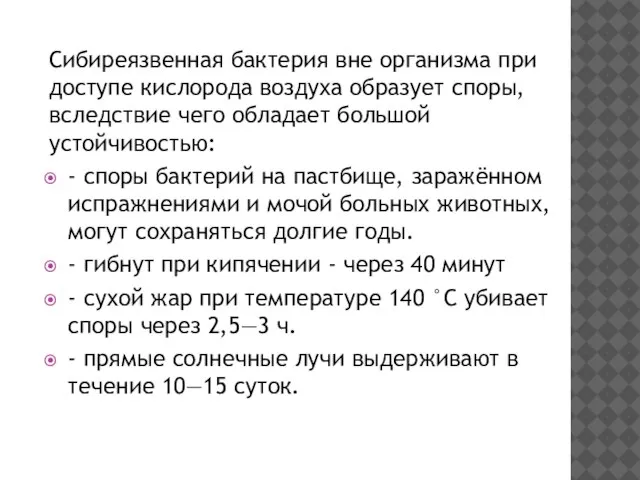 Сибиреязвенная бактерия вне организма при доступе кислорода воздуха образует споры, вследствие