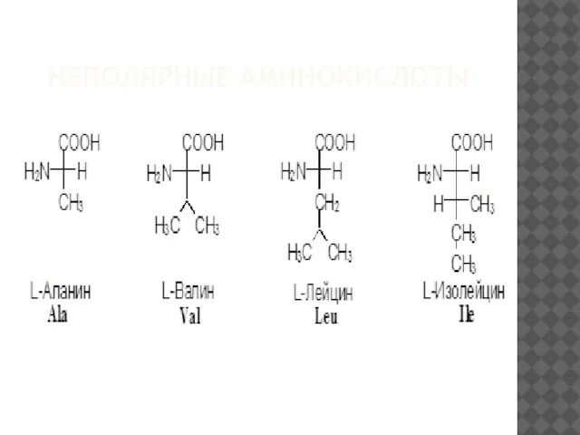 НЕПОЛЯРНЫЕ АМИНОКИСЛОТЫ