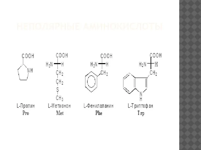 НЕПОЛЯРНЫЕ АМИНОКИСЛОТЫ