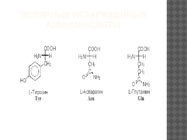 ПОЛЯРНЫЕ НЕЗАРЯЖЕННЫЕ АМИНОКИСЛОТЫ