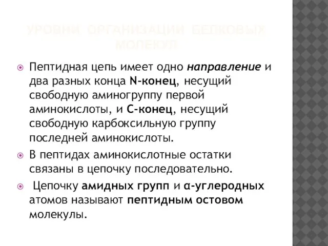 УРОВНИ ОРГАНИЗАЦИИ БЕЛКОВЫХ МОЛЕКУЛ Пептидная цепь имеет одно направление и два