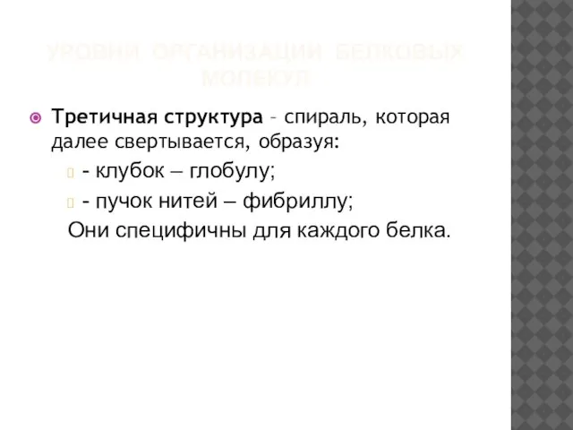 УРОВНИ ОРГАНИЗАЦИИ БЕЛКОВЫХ МОЛЕКУЛ Третичная структура – спираль, которая далее свертывается,