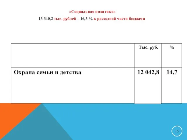 «Социальная политика» 13 340,2 тыс. рублей – 16,3 % к расходной части бюджета