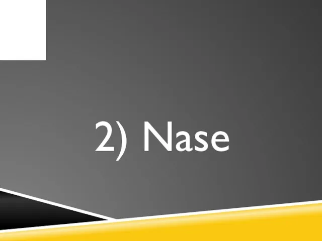 2) Nase