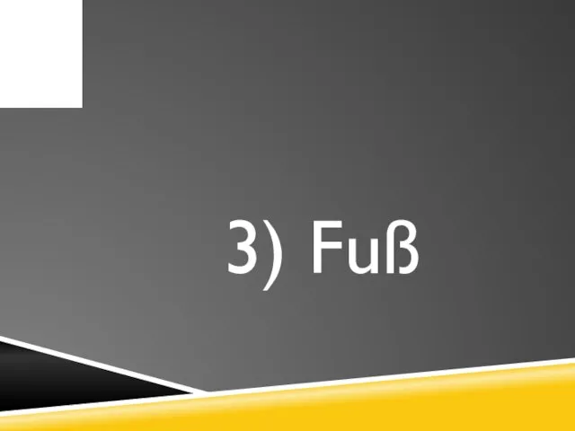 3) Fuß