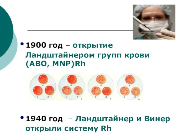 1900 год – открытие Ландштайнером групп крови (АВО, MNP)Rh 1940 год