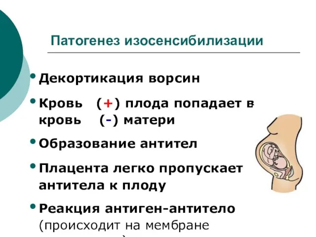 Патогенез изосенсибилизации Декортикация ворсин Кровь (+) плода попадает в кровь (-)