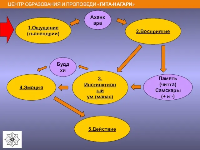 1.Ощущение (гьянендрии) Аханкара 2.Восприятие 3.Инстинктивный ум (манас) Память (читта) Самскары (+ и -) 5.Действие Буддхи 4.Эмоция