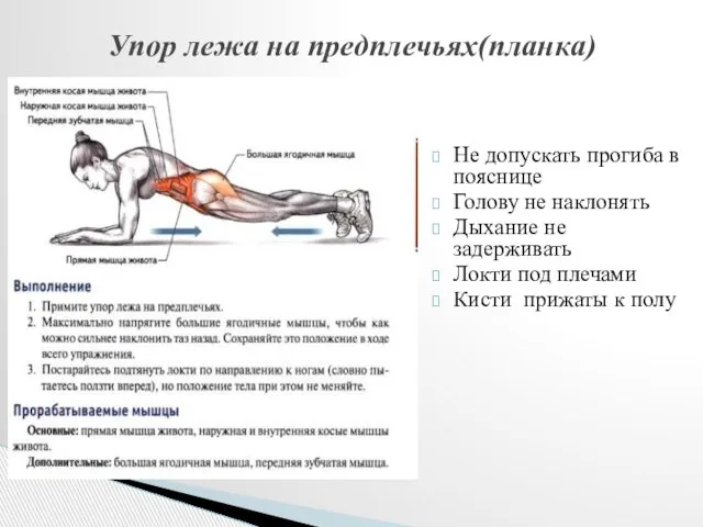 Упор лежа на предплечьях(планка) Не допускать прогиба в пояснице Голову не