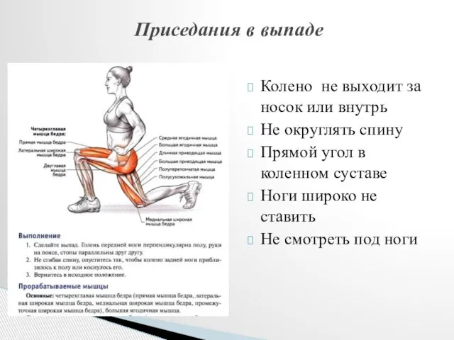 Колено не выходит за носок или внутрь Не округлять спину Прямой