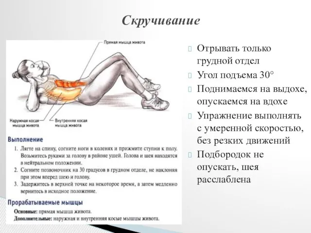 Отрывать только грудной отдел Угол подъема 30° Поднимаемся на выдохе, опускаемся