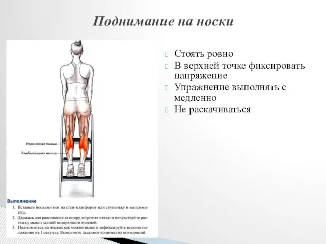 Стоять ровно В верхней точке фиксировать напряжение Упражнение выполнять с медленно Не раскачиваться Поднимание на носки