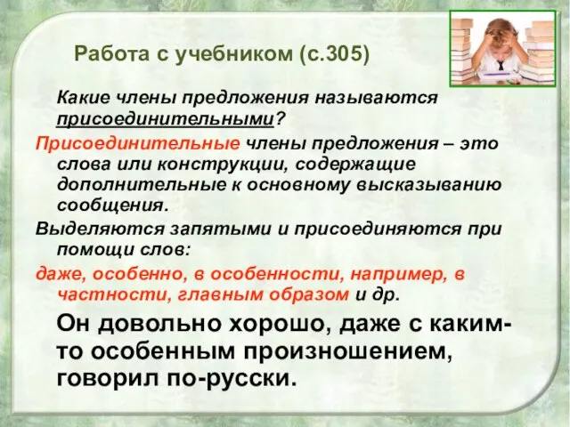 Работа с учебником (с.305) Какие члены предложения называются присоединительными? Присоединительные члены