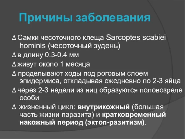 Причины заболевания Δ Самки чесоточного клеща Sarcoptes scabiei hominis (чесоточный зудень)