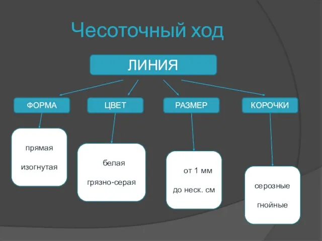 Чесоточный ход ЛИНИЯ ФОРМА ЦВЕТ КОРОЧКИ РАЗМЕР прямая изогнутая серозные гнойные