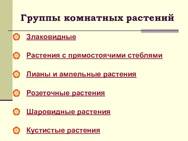 Группы комнатных растений Злаковидные Растения с прямостоячими стеблями Лианы и ампельные