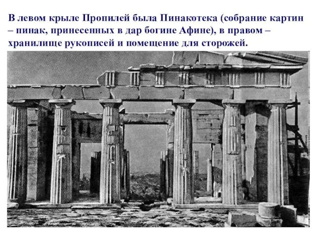 В левом крыле Пропилей была Пинакотека (собрание картин – пинак, принесенных