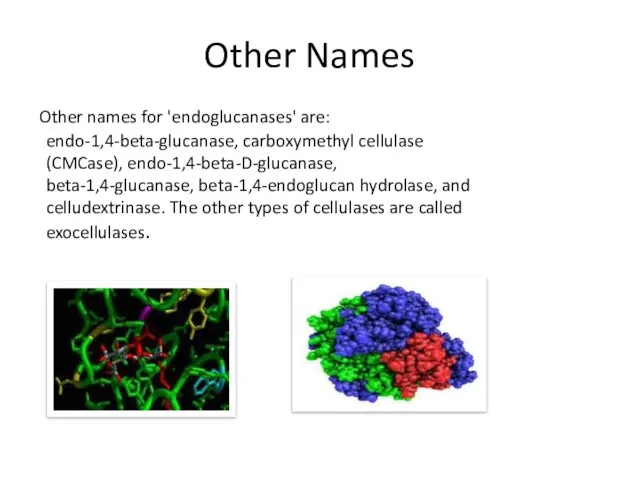 Other Names Other names for 'endoglucanases' are: endo-1,4-beta-glucanase, carboxymethyl cellulase (CMCase),