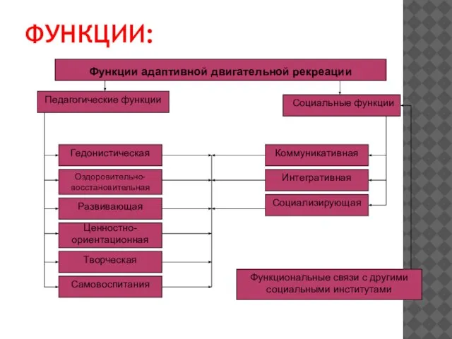 ФУНКЦИИ: