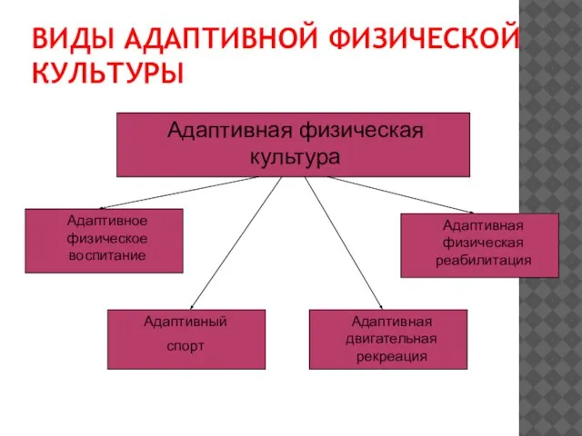 ВИДЫ АДАПТИВНОЙ ФИЗИЧЕСКОЙ КУЛЬТУРЫ Адаптивная физическая культура Адаптивное физическое воспитание Адаптивный