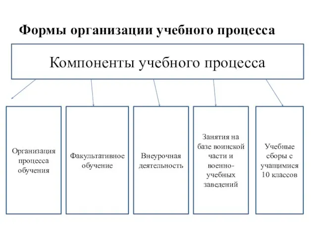 Формы организации учебного процесса Компоненты учебного процесса Организация процесса обучения Факультативное