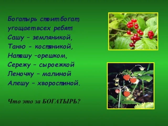 Богатырь стоит богат, угощает всех ребят: Сашу – земляникой, Таню -