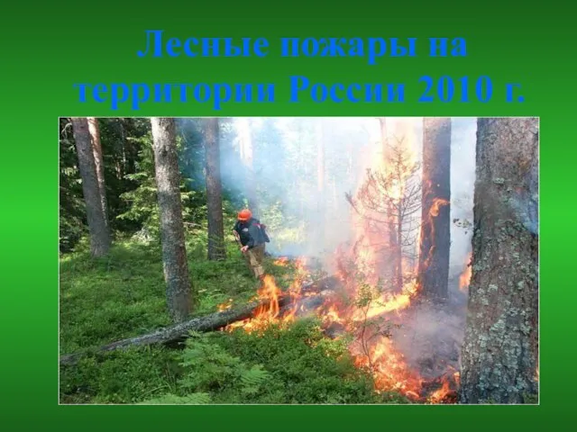 Лесные пожары на территории России 2010 г.