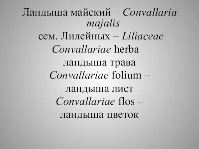 Ландыша майский – Соnvallaria majalis сем. Лилейных – Liliaceae Convallariae herba