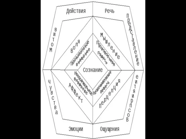 Рисунок 6. Функциональная структура психики человека (в психологических категориях), представленная в