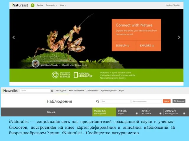 iNaturalist — социальная сеть для представителей гражданской науки и учёных-биологов, построенная