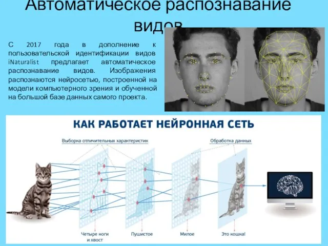 Автоматическое распознавание видов С 2017 года в дополнение к пользовательской идентификации