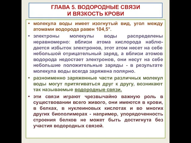 ГЛАВА 5. ВОДОРОДНЫЕ СВЯЗИ И ВЯЗКОСТЬ КРОВИ молекула воды имеет изогнутый