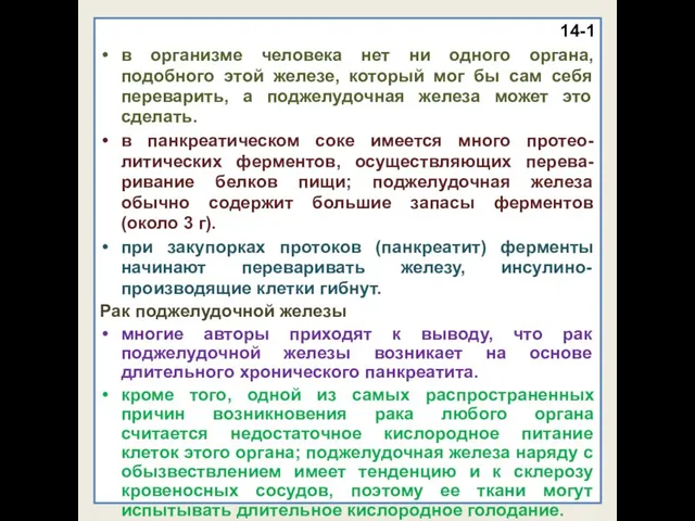 14-1 в организме человека нет ни одного органа, подобного этой железе,