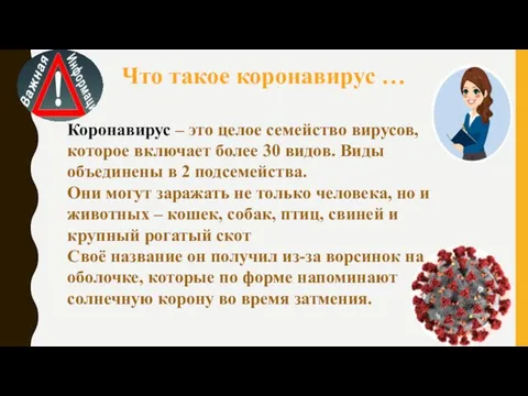 Что такое коронавирус … Коронавирус – это целое семейство вирусов, которое