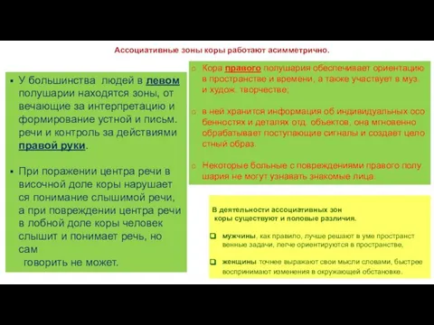 У боль­шин­ст­ва лю­дей в ле­вом по­лу­ша­рии на­хо­дят­ся зо­ны, от­ве­чаю­щие за ин­тер­пре­та­цию