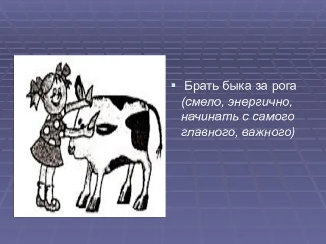 Брать быка за рога (смело, энергично, начинать с самого главного, важного)