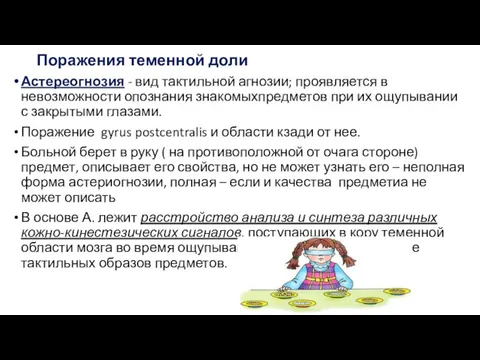 Поражения теменной доли Астереогнозия - вид тактильной агнозии; проявляется в невозможности